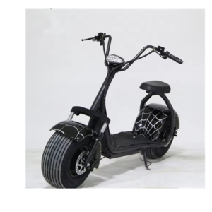 Citycoco hors route scooters électrique